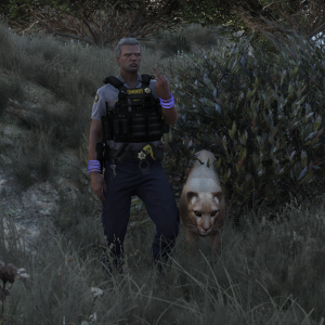 Screenshot_1512.png