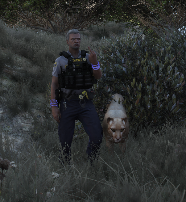 Screenshot_1512.png